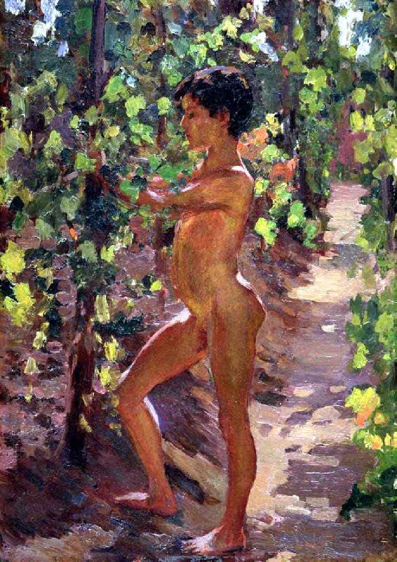 Carleton E.Watkins Study for Boys picking grapes at Capri oil painting image